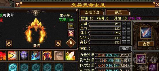 【邀月推荐】10万内功，极限三修内功输出武当，无敌药，断桥，金箍棒，限定坐骑背饰全套，宝宝极品