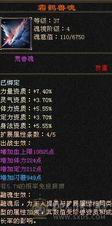 后台4，盟派7，5体5属性6级雕文，自己看吧