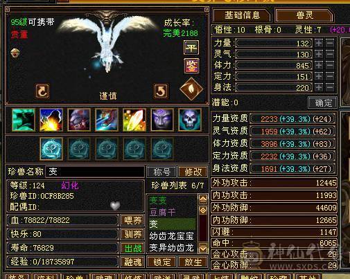 四修 45万血天龙