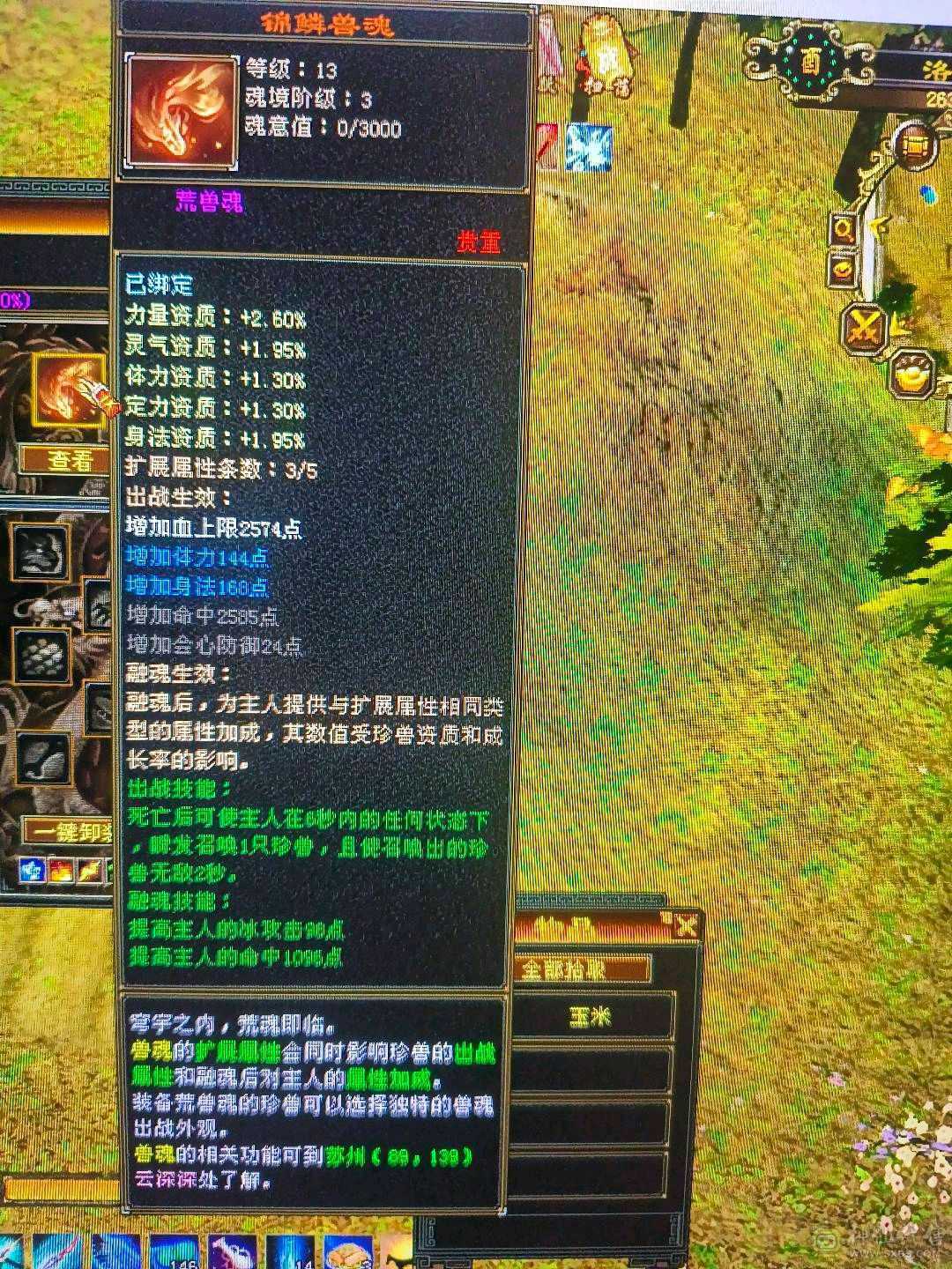 小武当一枚