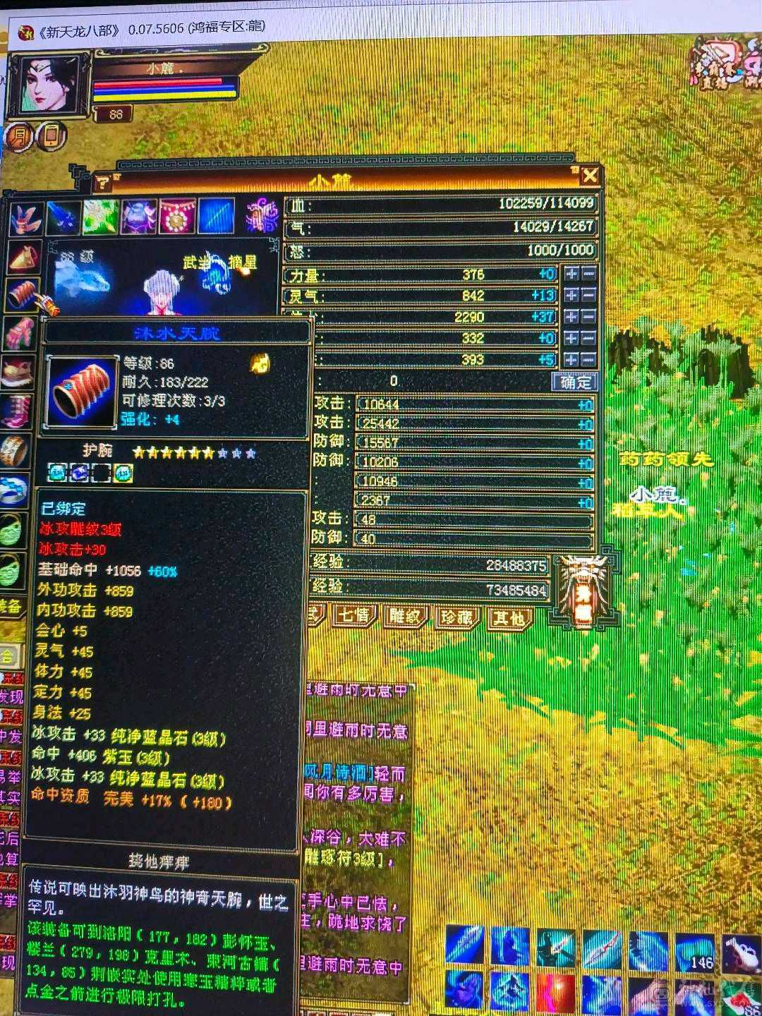 小武当一枚
