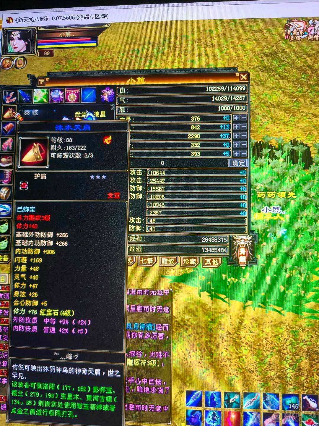 小武当一枚