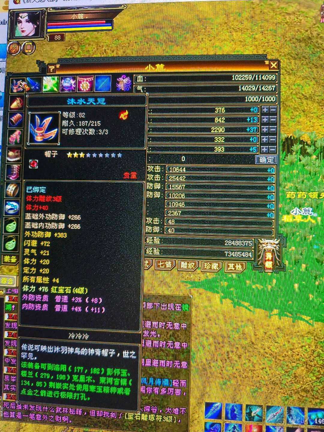 小武当一枚