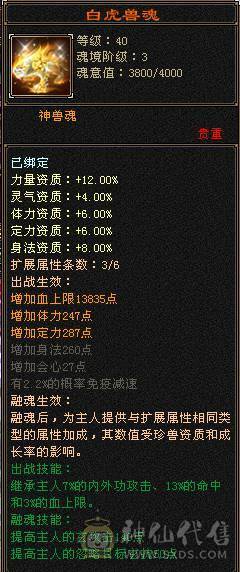 主属性5000，副属性都过1000