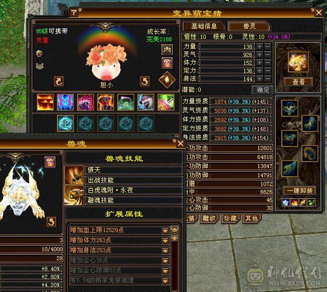 『阿伟•推荐』7级多修杂抗星宿 10雕 无盟会状态 6橙神兽 盟会10无敌丹 高净化宝宝全带 断桥4级配饰 +各种时装 红熊王双坐骑 所见即所得