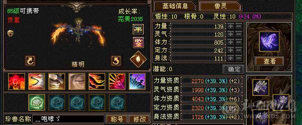 五级星宿上手就玩，高增伤出所有