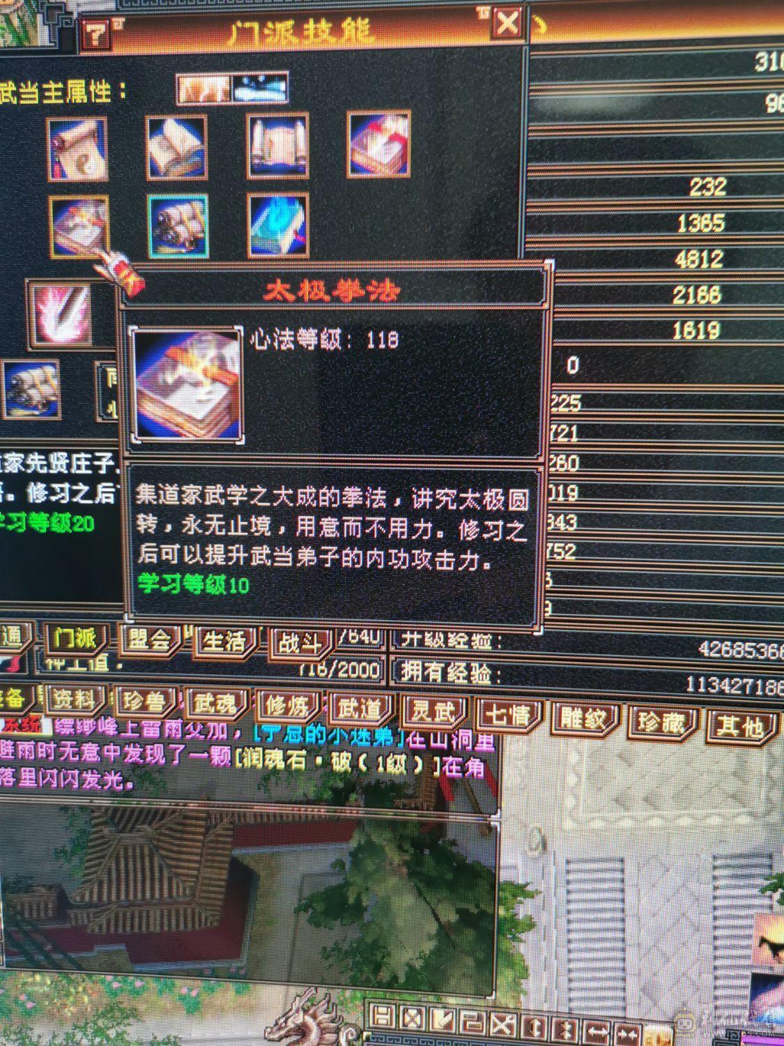 （梳子推荐） 裸面板啥都没吃 冰属性气武当 神兽洗好了