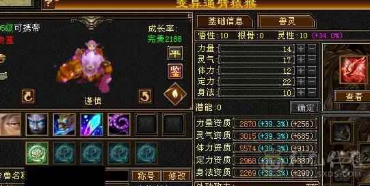 晚晚推荐：四修6665，5神，性价比高