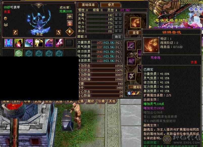 6体6属6身法满7带8雕极品6655小曼陀