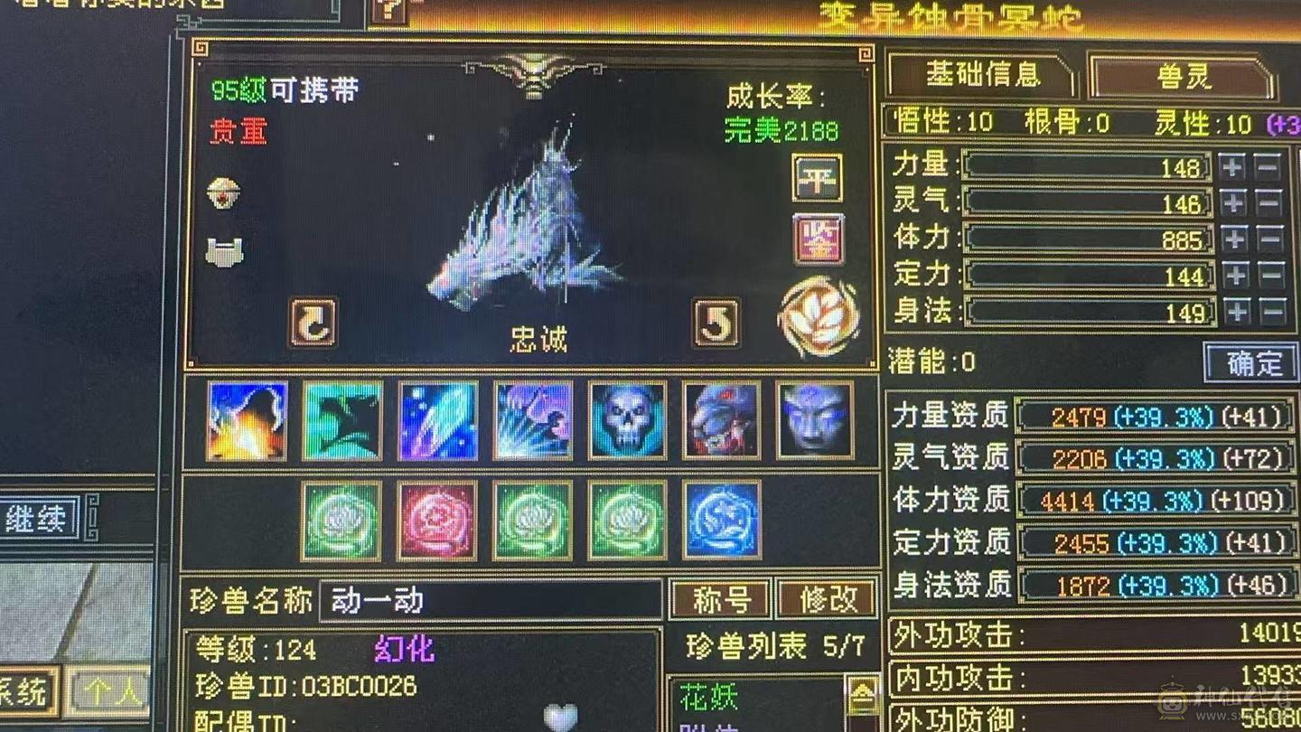 6体极限5，能抗能输出