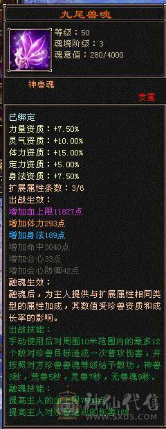 纯纯一手号