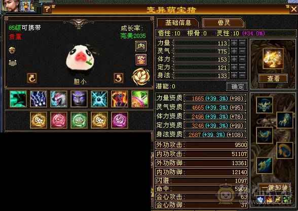 纯纯一手号