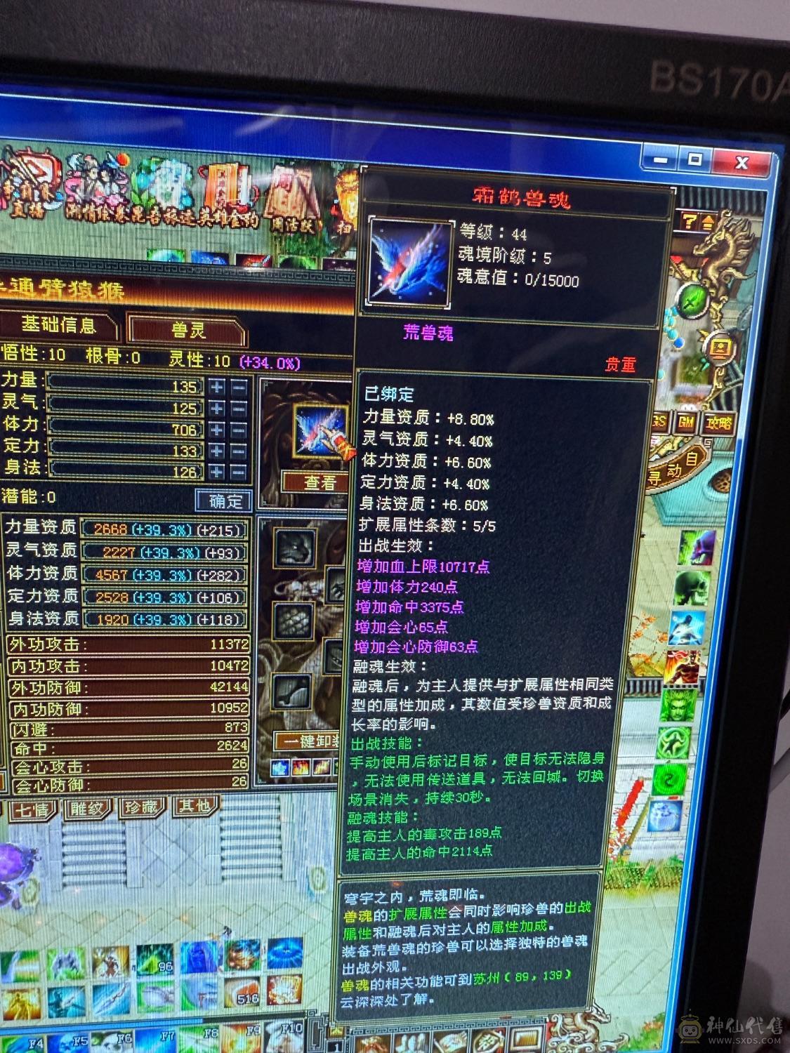 真：满5,7雕，带双十体力附体，持续更新