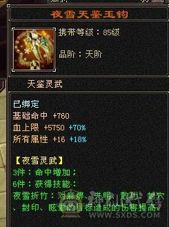 『阿伟•推荐』极限5三修逍遥 8雕 宝宝全带 无精华盟会状态 所见即所得  