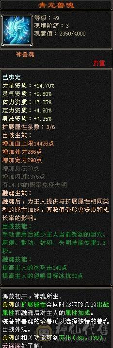 极品5级气武当
