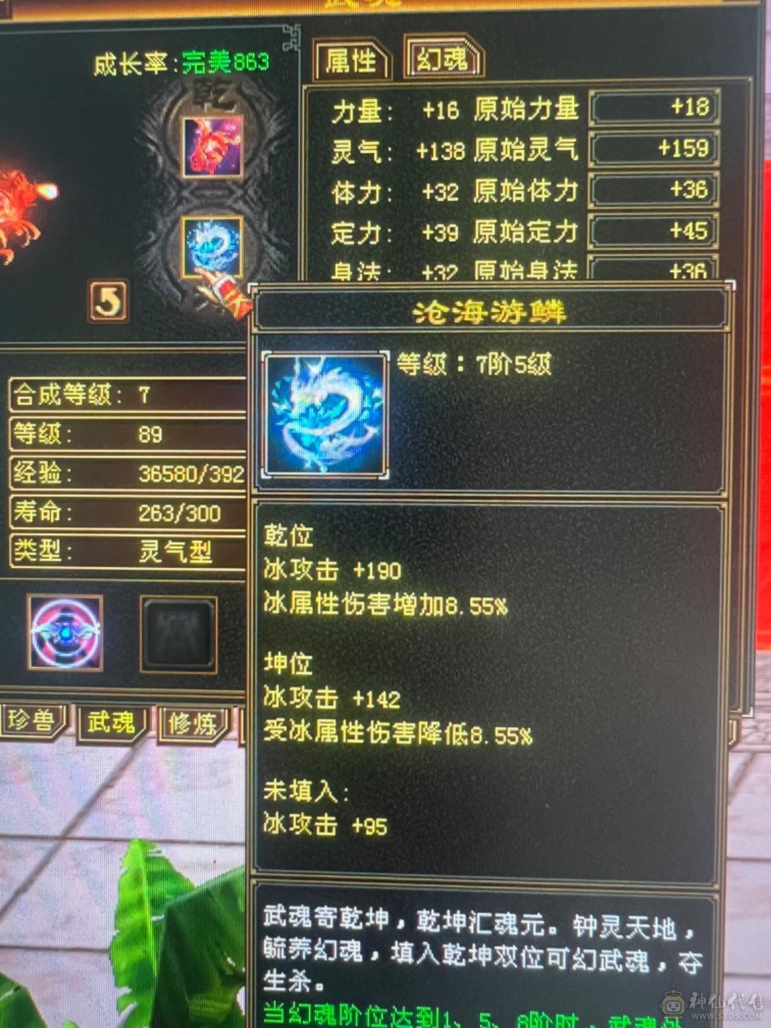 绝版断桥、盟会9级能挖花、大八项链，背包减抗装备灵武换了+吃药能有580减抗