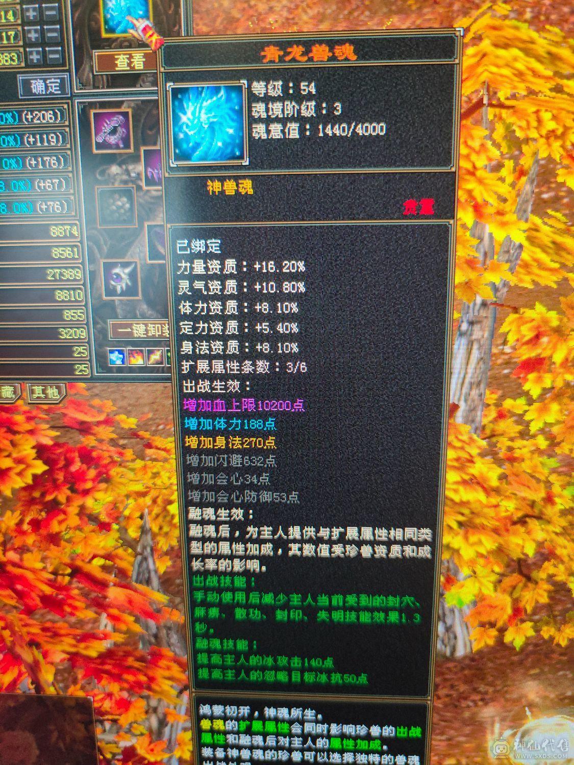 晚上才有时间交易