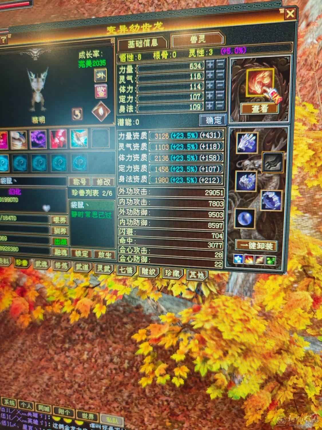 晚上才有时间交易