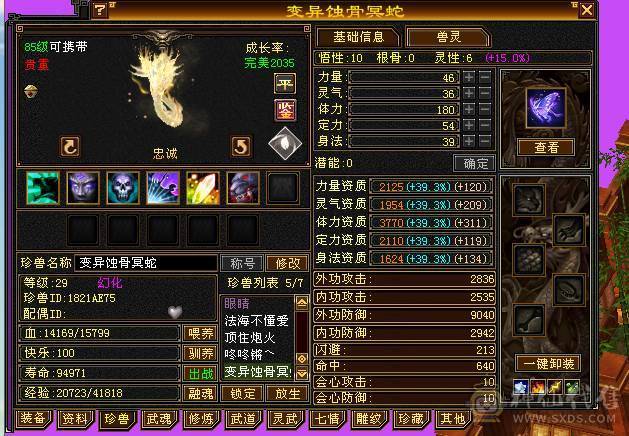 3抗少林能抗能打转曼陀副本更猛！仓库各种石头都有！带4个宝宝