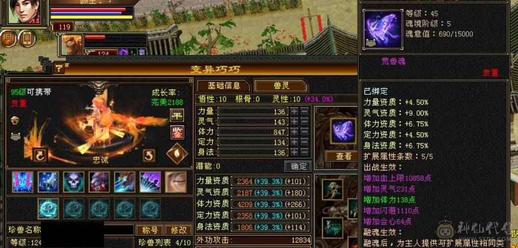 【邀月推荐】双盟会10级无敌丹51万血潇湘夜雨雪原坐骑51万血