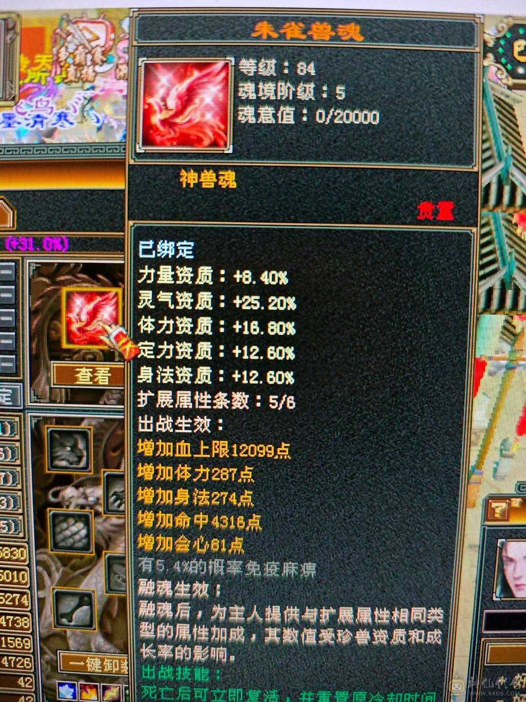 安然推荐 细节逍遥  性价比很高 裸属6000   
