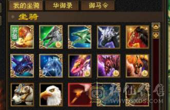 争霸赛亚军穷奇号全部顶配新雕文拉满各种花榜宝宝（持续更新）