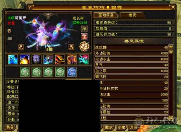 争霸赛亚军穷奇号全部顶配新雕文拉满各种花榜宝宝（持续更新）