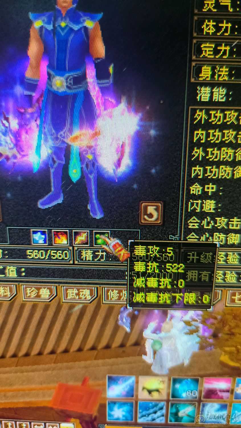 5属5雕 双排毒抗 带PK宝宝