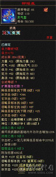 🥇微风推荐🥇精品双修5级天山-带赤兔-红泪多-冰河幻视所见即所得  截图裸面板