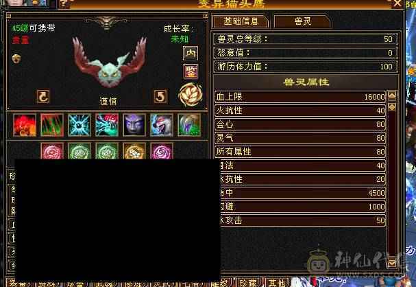 49前三逍遥 山青涧欢迎您