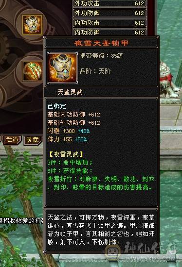 永久时装，幻饰，熊，8星装备，心法修炼全满，