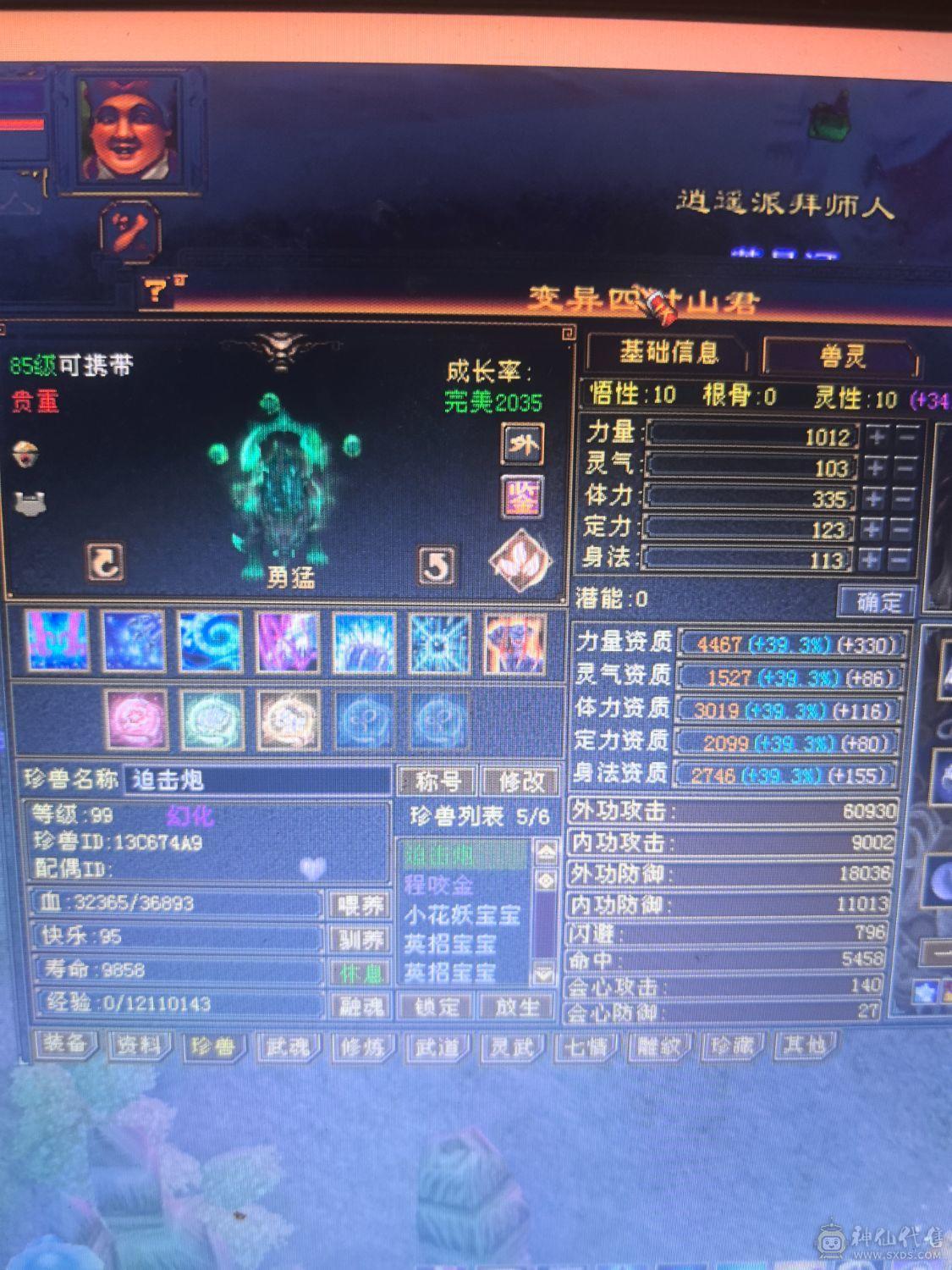带2个双十宝宝，都是4100，冰火内三修，平推6W左右，高会心，高暴击，副本超级效率