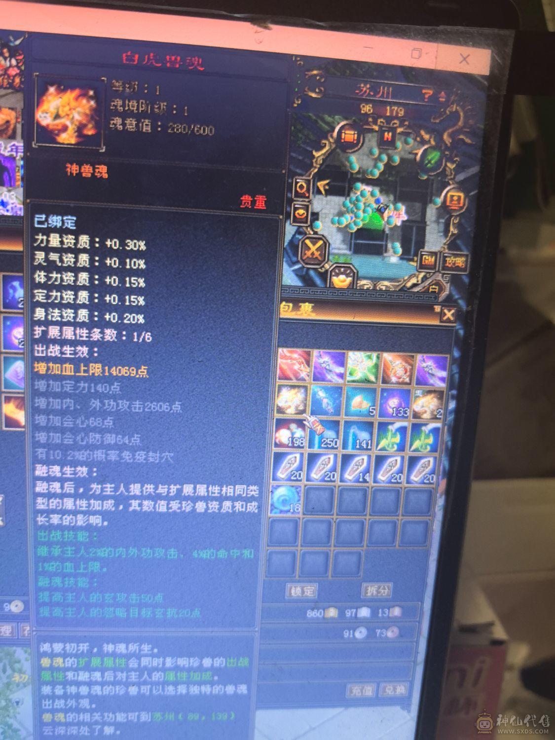 带2个双十宝宝，都是4100，冰火内三修，平推6W左右，高会心，高暴击，副本超级效率