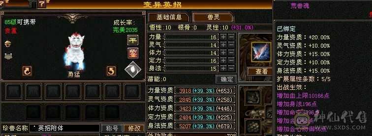 细节星宿