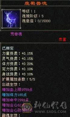 细节星宿