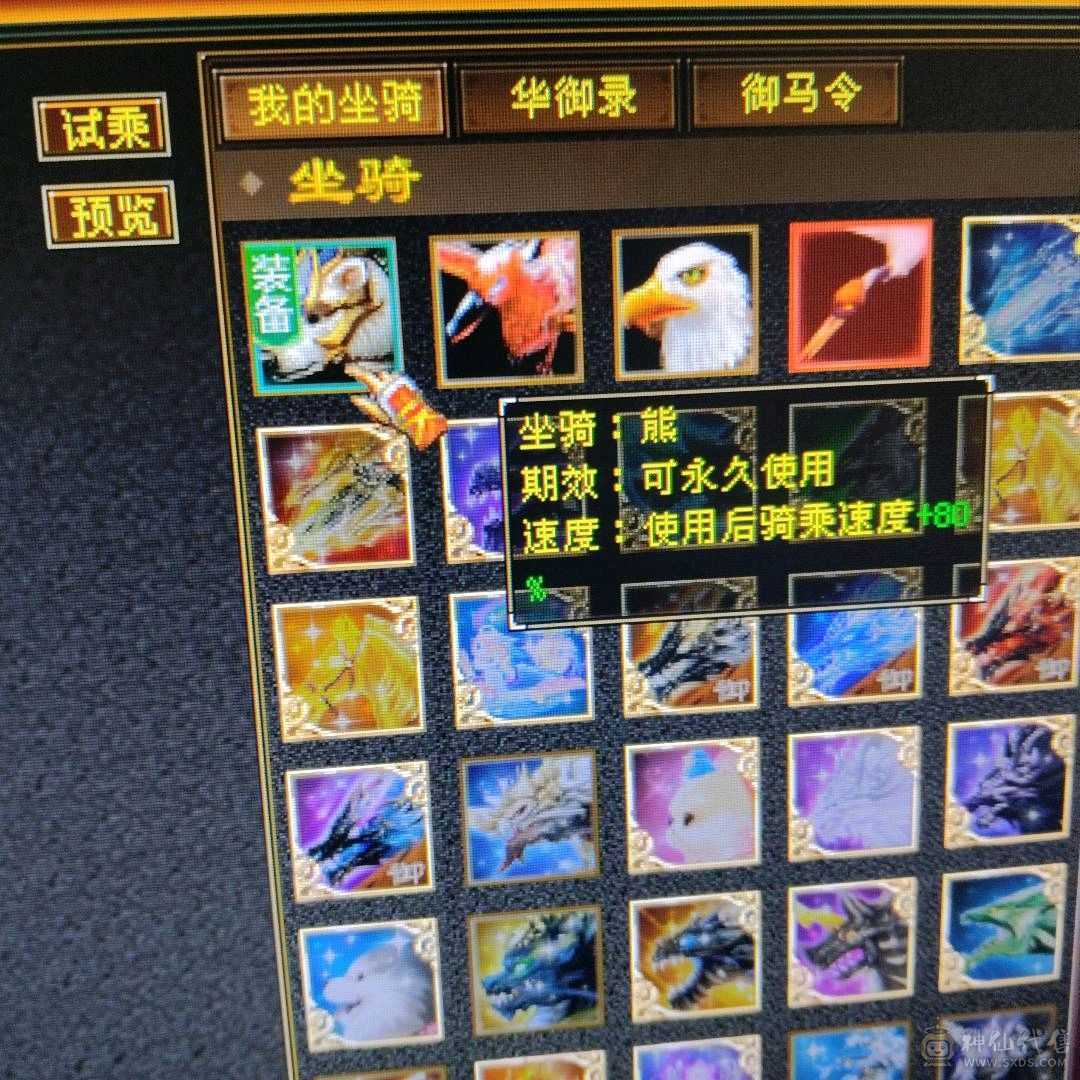 全五带六-满消费，时装多，幻视多，带宝宝
