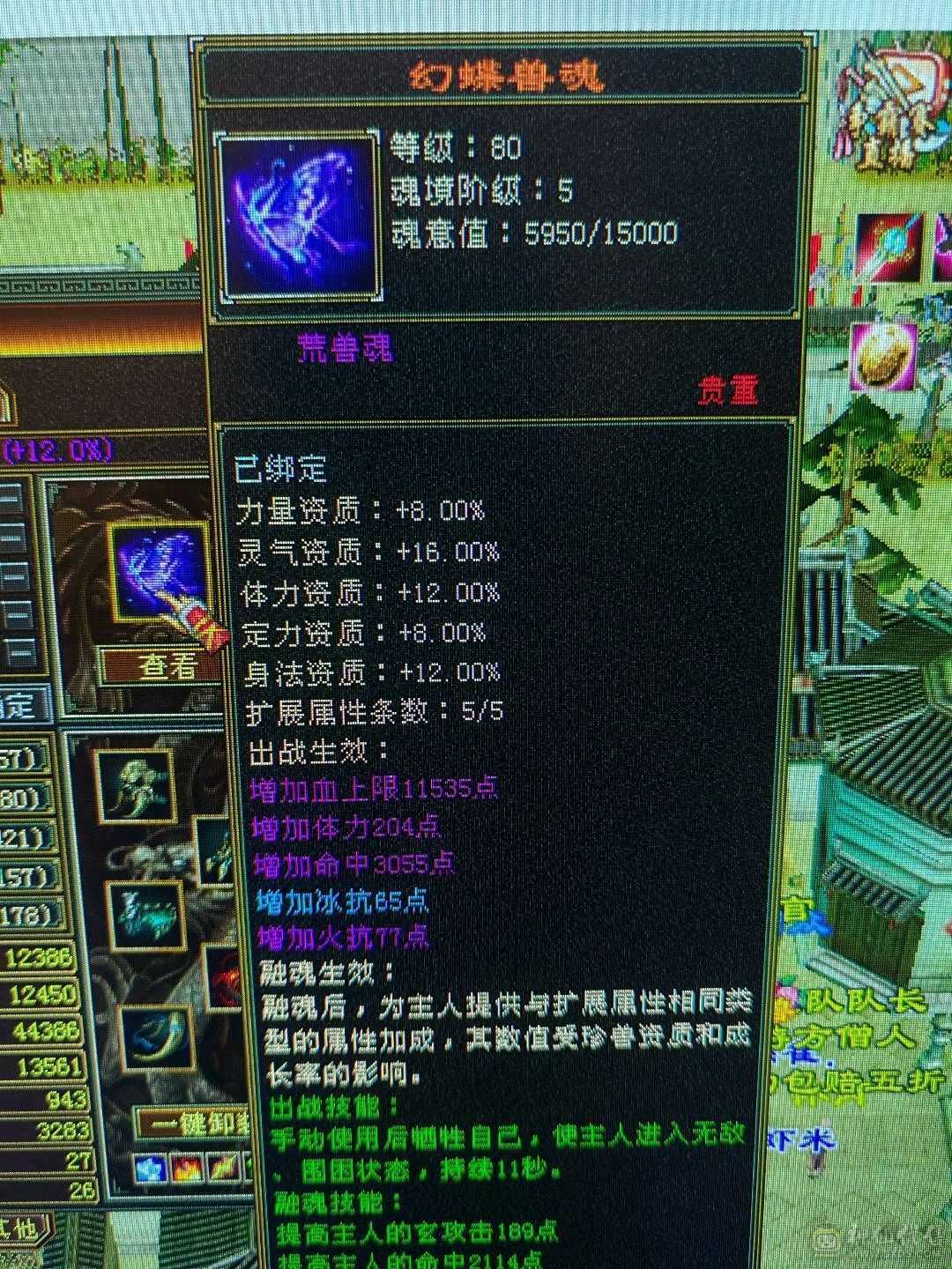 超多时装小峨眉