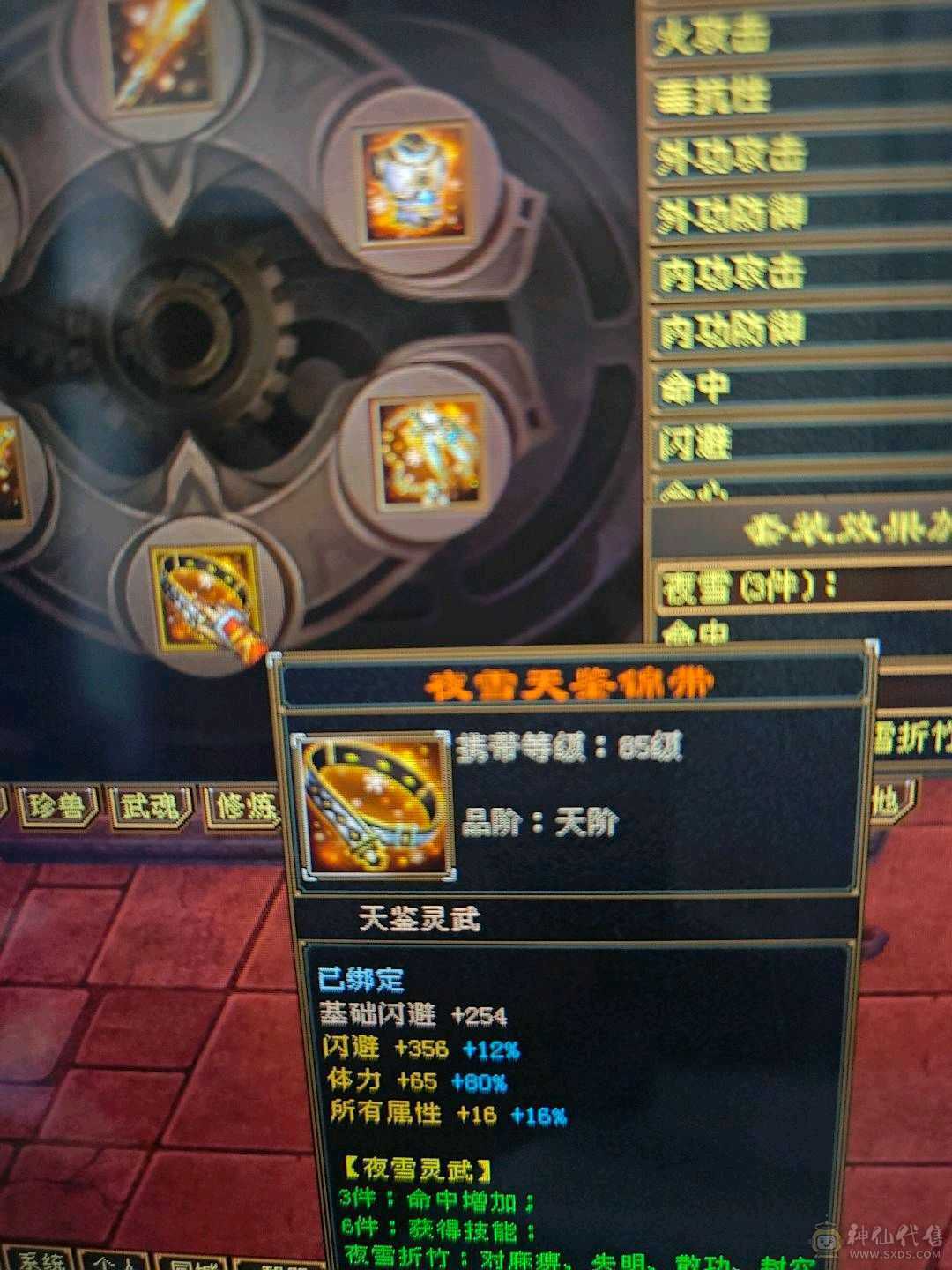 带两只双10，永久坐