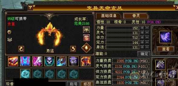 芬达🥇推荐🥇：顶级花瓶5件断桥残雪 带花榜85坐骑  时装100件