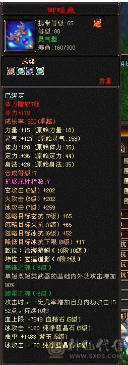 🏅温暖推荐🏅雪猿坐骑-满5带点6级-5万命中-45W斩杀线-裸面板-带宝宝出-所见即得！
