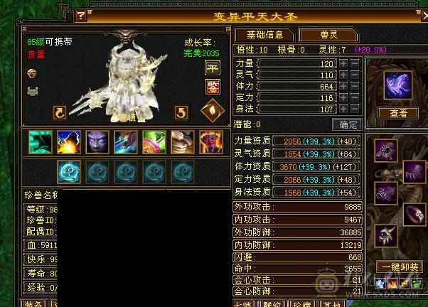 🏅温暖推荐🏅雪猿坐骑-满5带点6级-5万命中-45W斩杀线-裸面板-带宝宝出-所见即得！