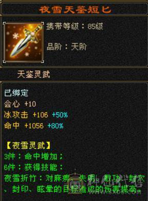 暴力女天山嘎嘎好看
