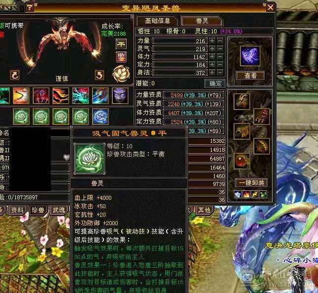 满6带5个10宝宝，无敌丹已开