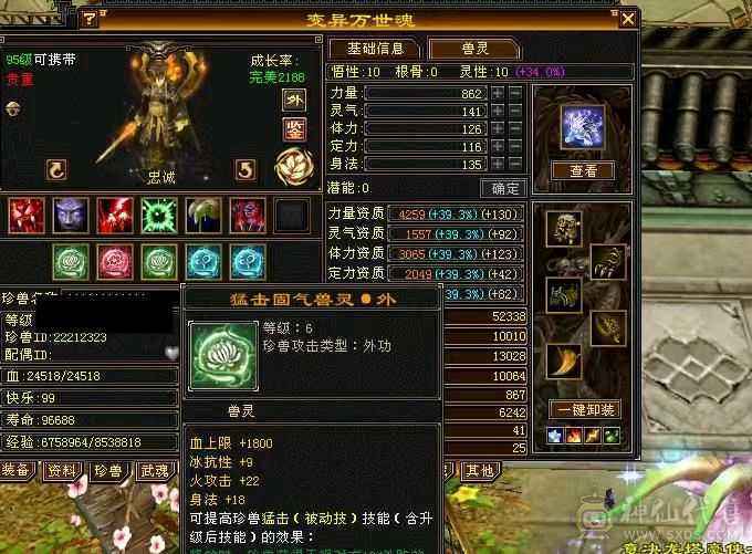 满6带5个10宝宝，无敌丹已开