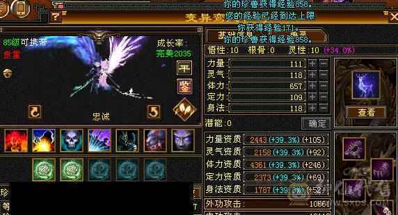 『晴天推荐』卡机曼陀，随缘出，带拼命10 