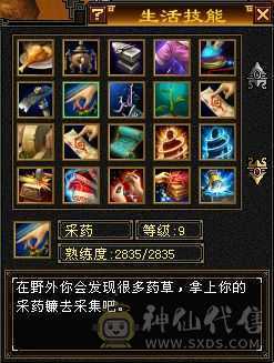 5级峨嵋