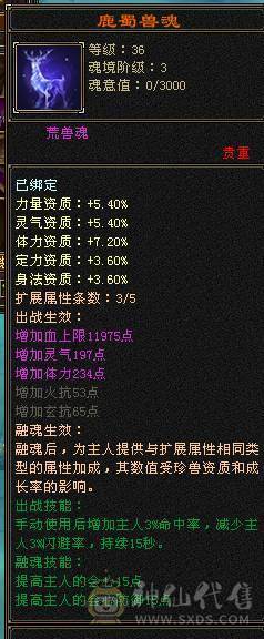 无敌丹三修满8雕文五神