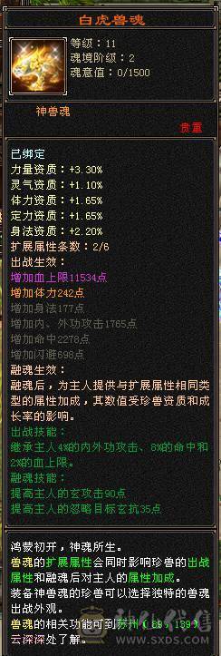 满5七雕少林带所有
