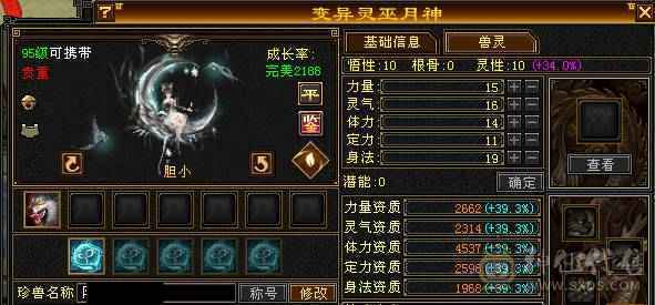 满5七雕少林带所有