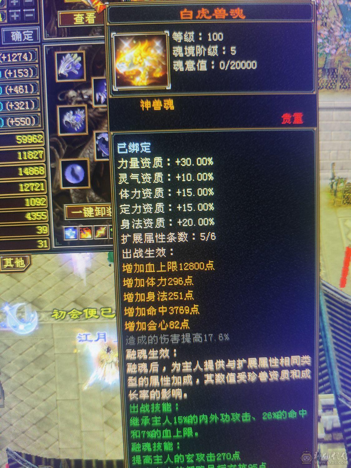 6级4修天龙裸10800属5神高会心高会防完美6橙兽魂